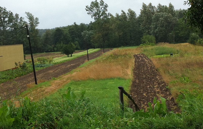 Więcej o: Postępowanie scaleniowe zakończone
