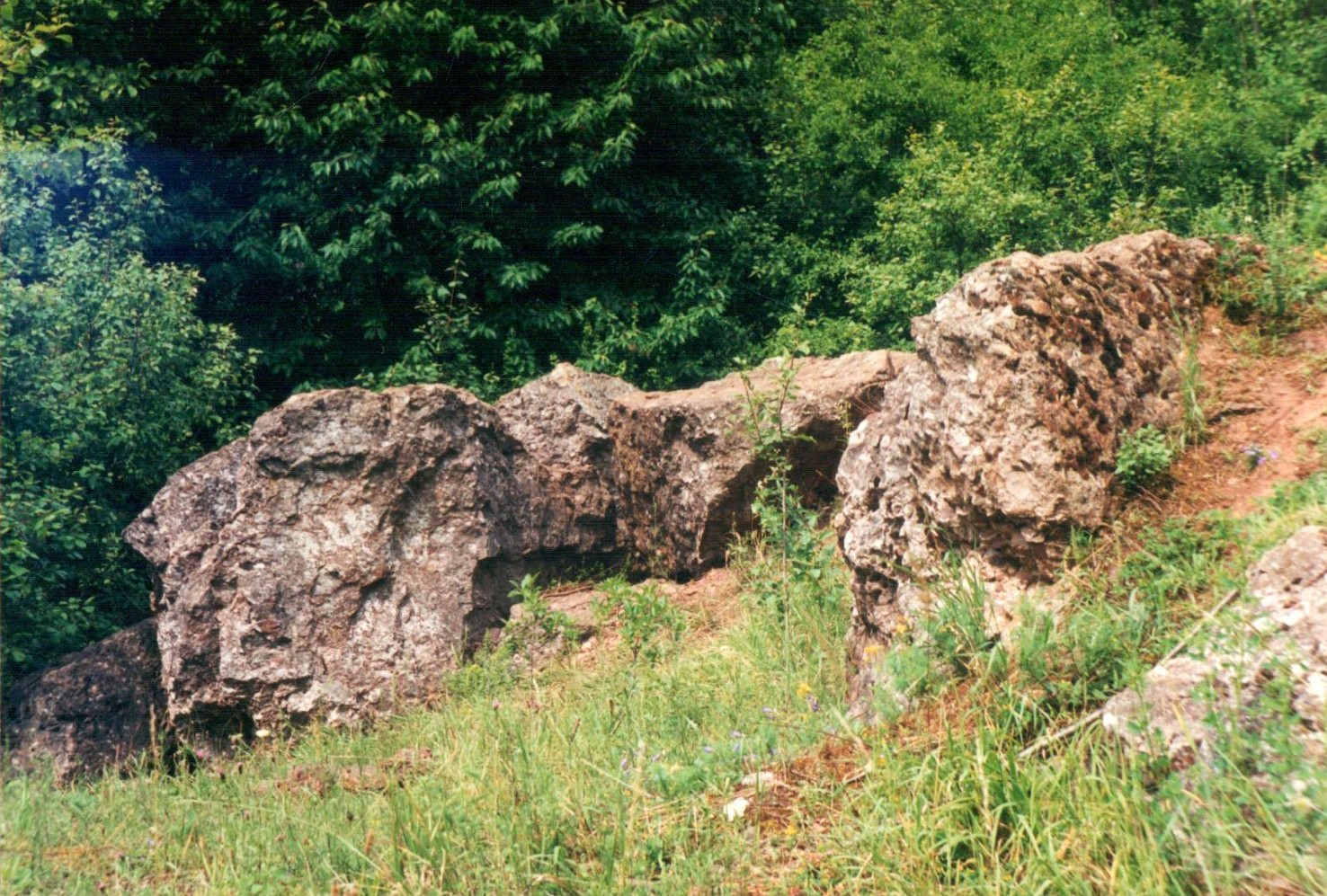 211908 skalki Stryczowice