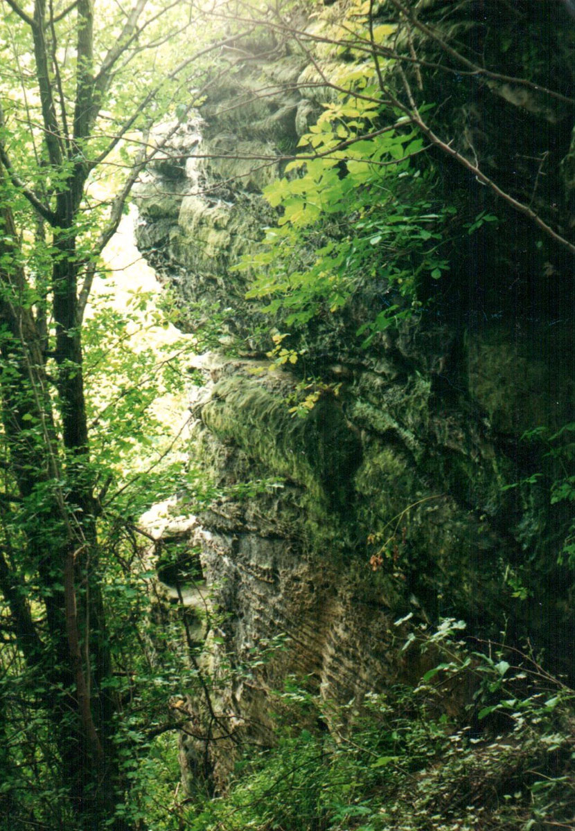Skalka-Sfinks---Szewna