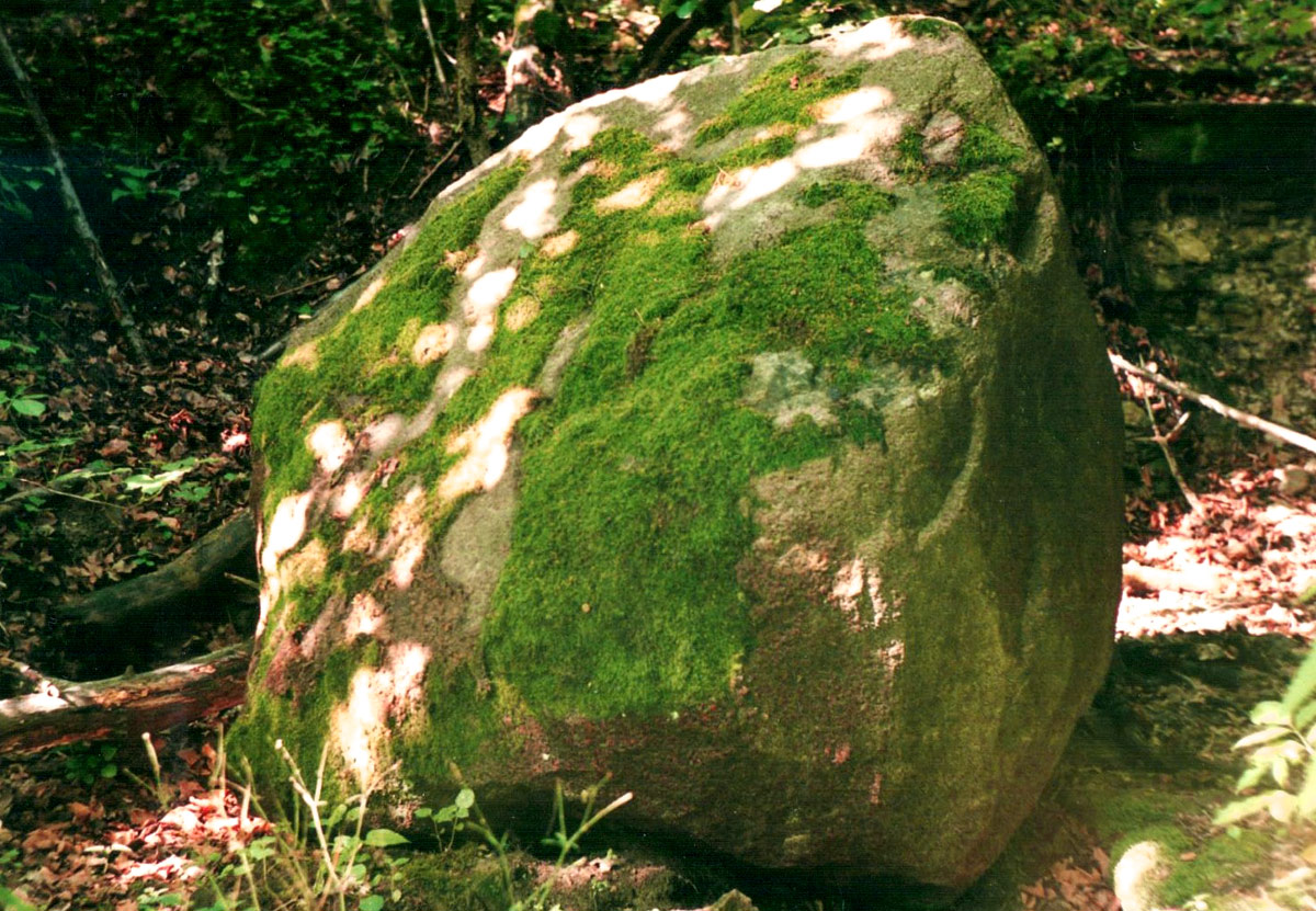 glaz-narzutowy-w-wawozie-w-Udzicowie