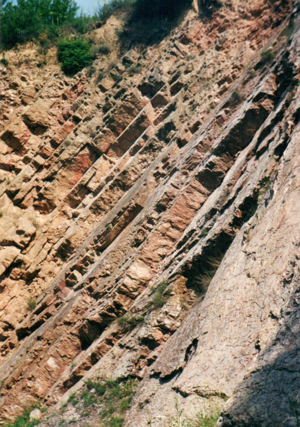 220803 odsloniecie geologiczne - Doly Biskupie