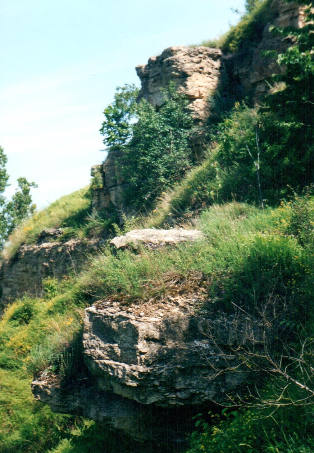 Profil geologiczny, Doły Biskupie