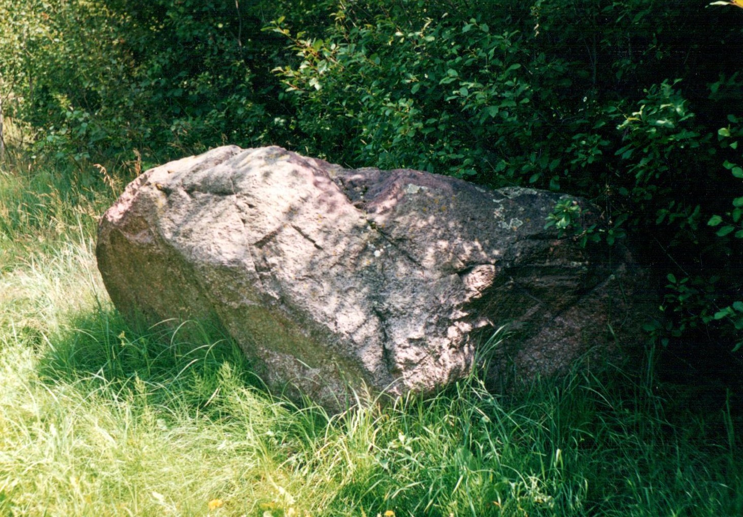 221708 glaz naarzutowy - Kolonia Janik