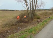 Więcej o: Prace porządkowe na drogach powiatowych