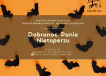 Więcej o: DOBRANOC PANIE NIETOPERZU